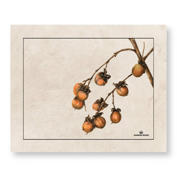 Manor Road Paper Placemats Persimmon 30 Pack