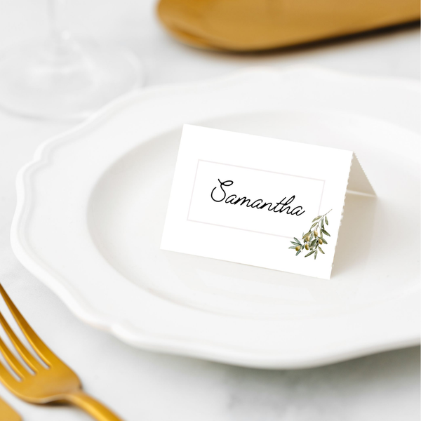 Manor Road Place Cards 45 pack Wild Olives