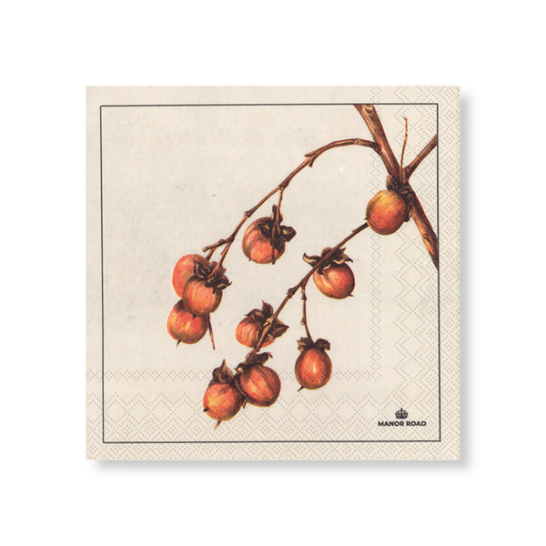 Manor Road Persimmon Napkins Luncheon 20 pack