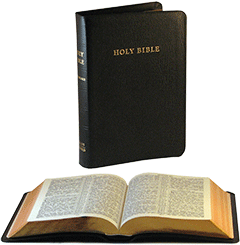 JND Ruby Zip Binding Medium Bible with Maps No17